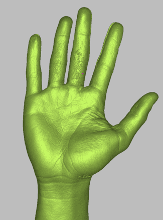 3D hand scan used as anatomical reference