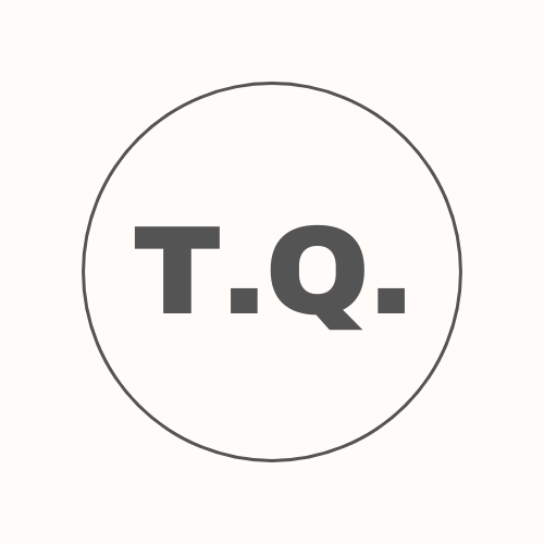 www.tomasequesada.com favicon